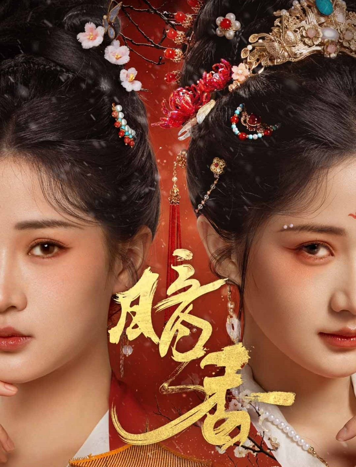 《暗香》 正在播放 番外篇