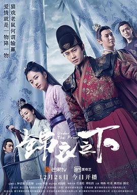 锦衣之下剧情介绍 2026最新 最新一集