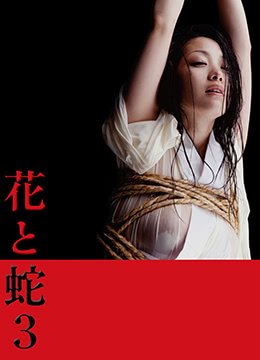 花与蛇3在线观看 影院热映 高清中字