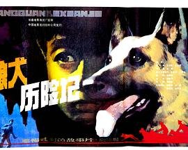 狼犬历险记 热门推荐 双语字幕