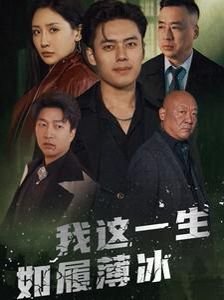 我这一生如履薄冰 免费观看 中字版